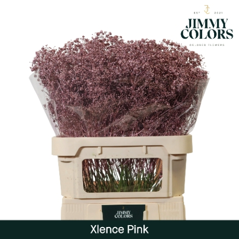 <h4>Gyps Xlence L80 Mtlc. Rose gold</h4>