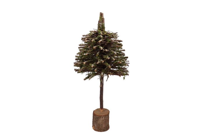 <h4>Festive Tree Poplar Moss 30x30x80cm</h4>