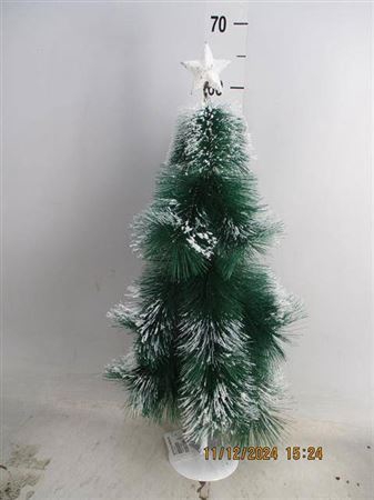 <h4>Pinus Tree With Snow & Deco H65 D18</h4>