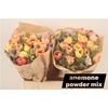Anemone Powder Mix