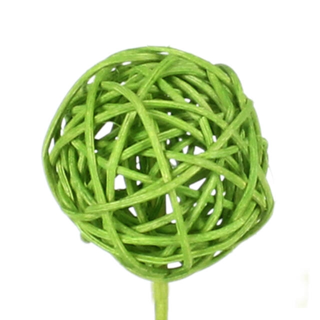 <h4>Bijsteker Bruce ball 5cm+50cm stok l. groen</h4>