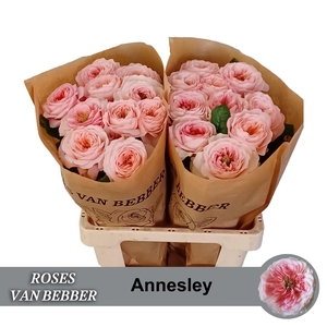 R GR ANNESLEY!