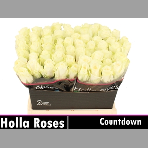 R GR COUNTDOWN!