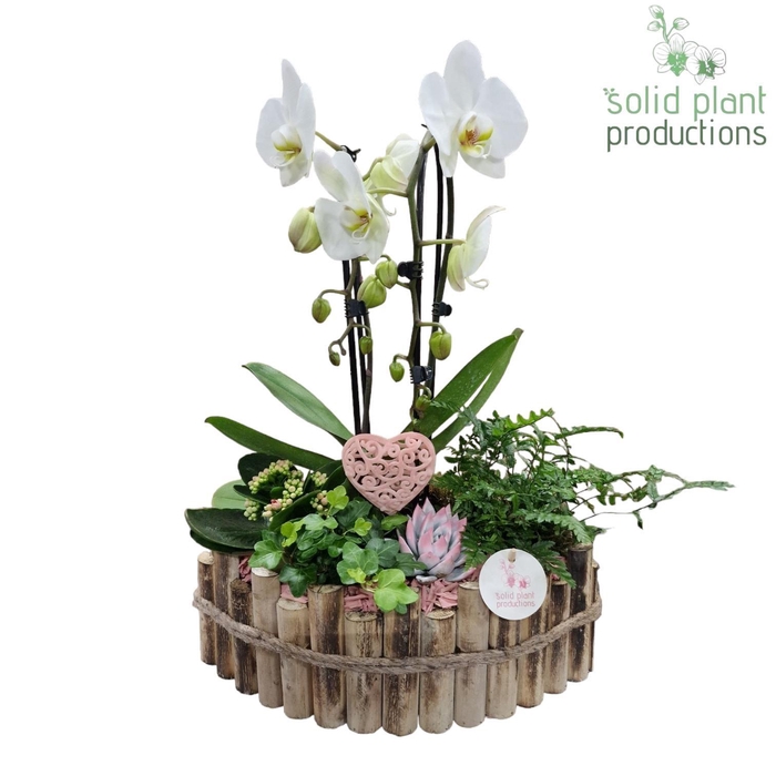 <h4>HVCA006 Napoli Large Pink</h4>