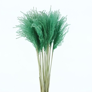 Dried Stipa Feather Azuur Green