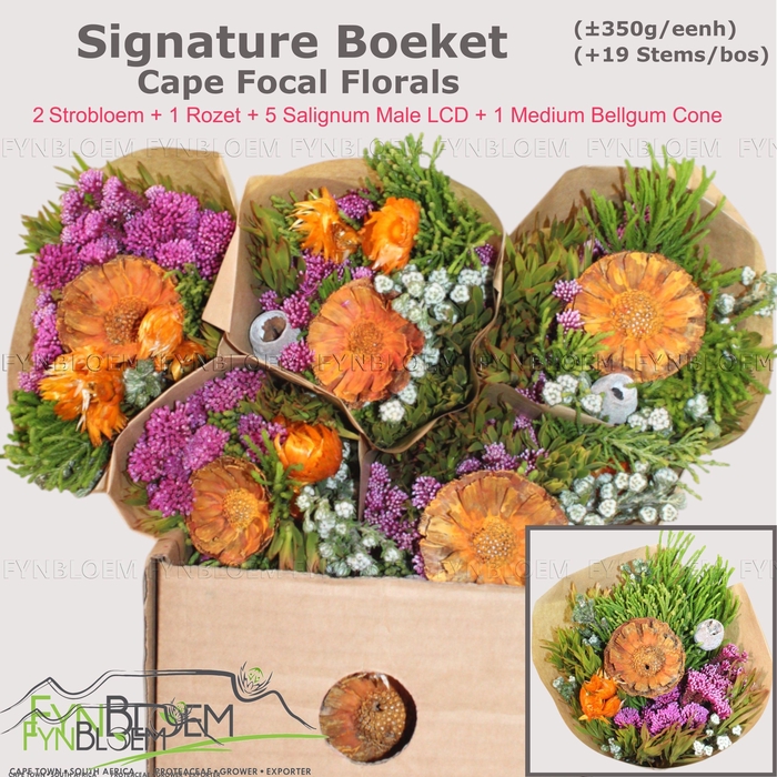 <h4>KAAPS GROE GEM IN BS</h4>