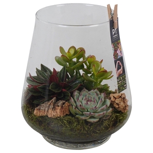 PTGIG2138 Arrangement Greens in glass in glazen vaas