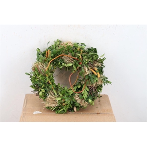 Wr Hooi Buxus Kronkelw 25cm No111