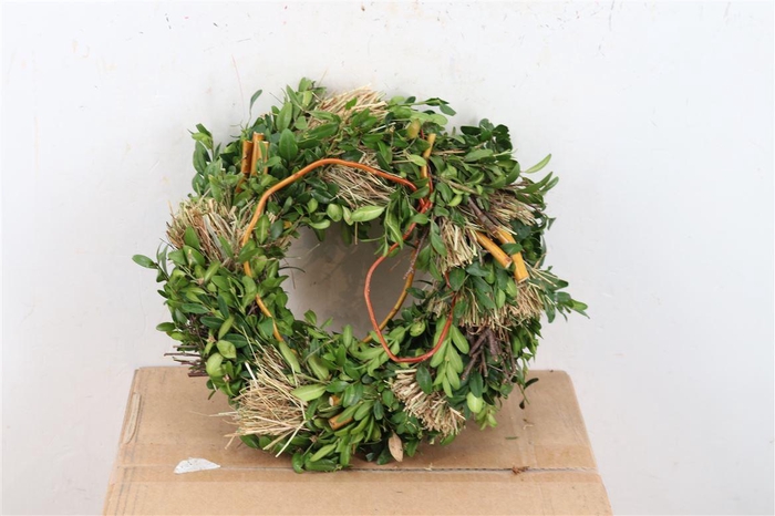 <h4>Wr Hooi Buxus Kronkelw 25cm No111</h4>