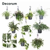 Overig hangplanten gemengd