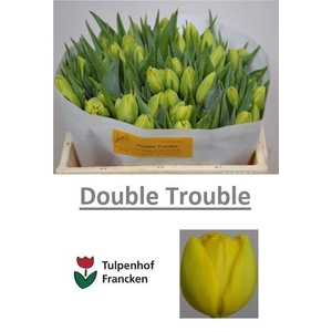 TU DO DOUBLE TROUBLE