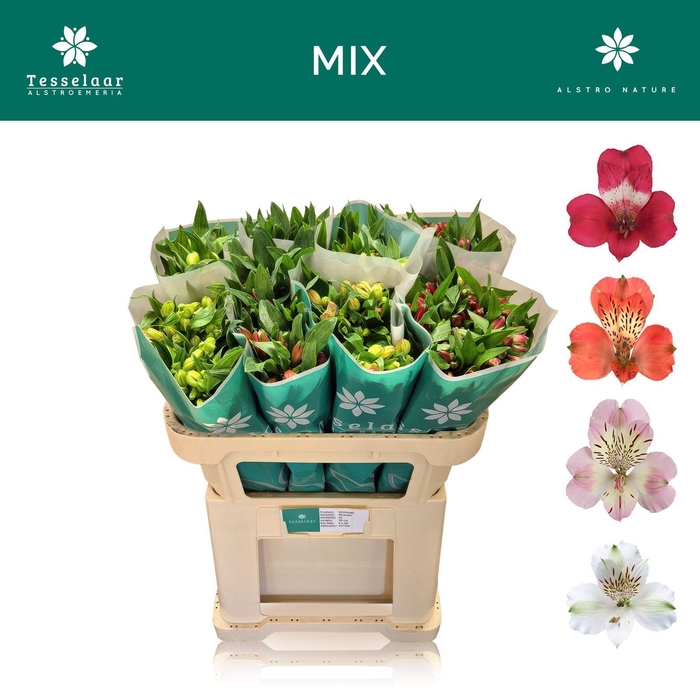 <h4>Alstr Mix in fust</h4>