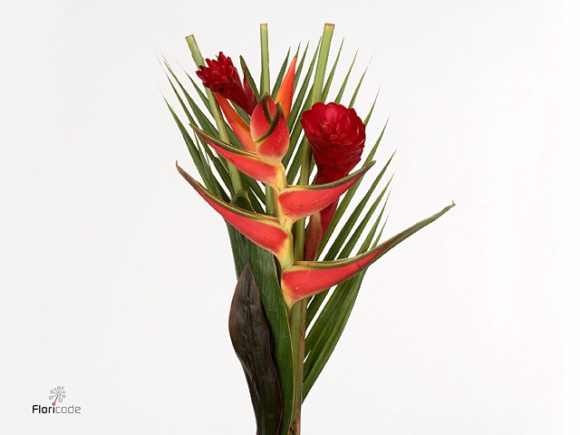 HELICONIA BOEKET