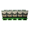 Leucanthemum Ohh La Lagrande