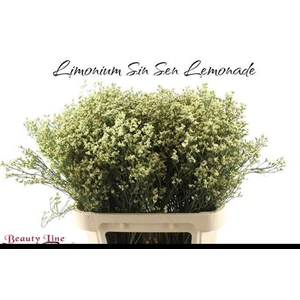 LIM SIN SEN LEMONADE