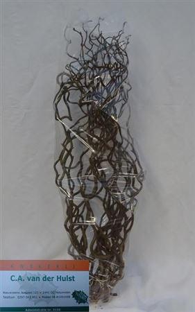 <h4>Corylus Av Contorta</h4>