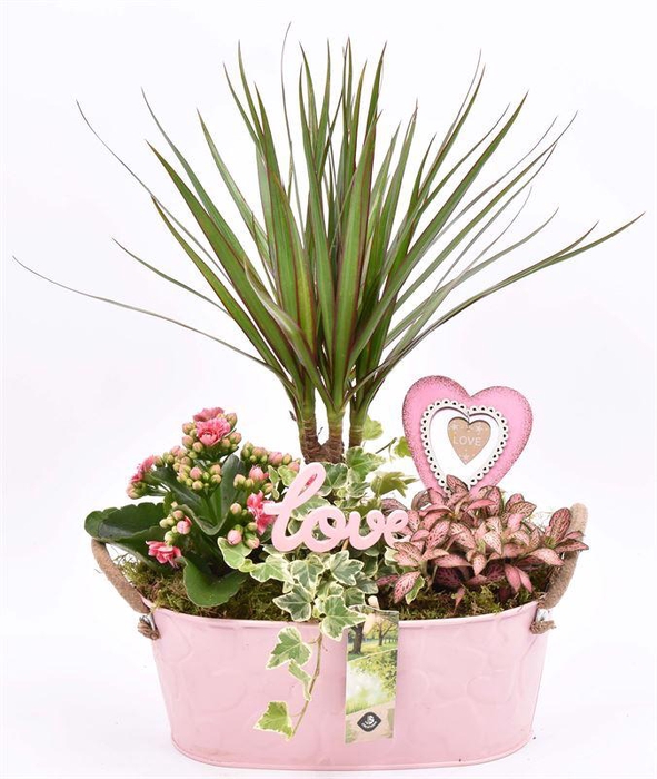 <h4>Zink ovaal roze hart decor 28x15cm</h4>
