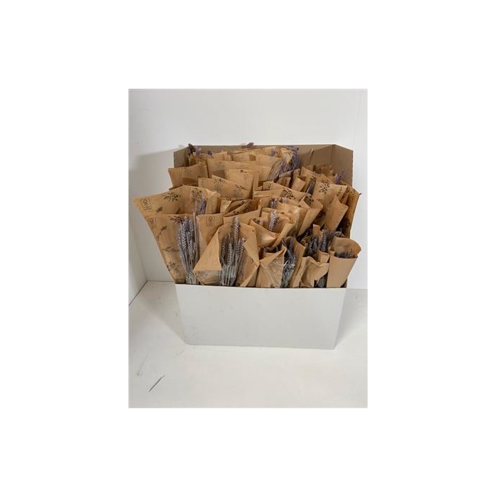<h4>Display Dried Flowers Cons Slv L50</h4>