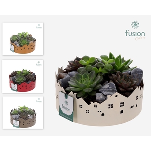 Zinken schaal Huisjes Medium met Succulenten