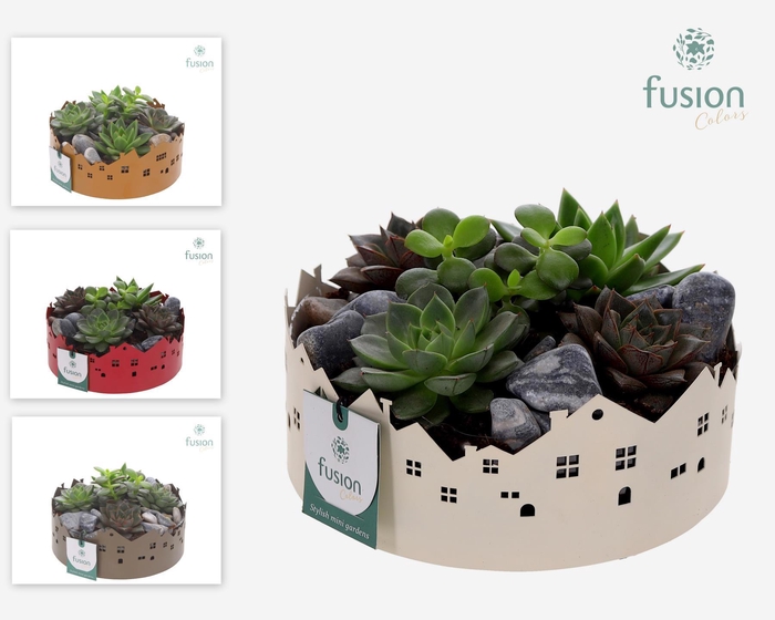 <h4>Zinken schaal Huisjes Medium met Succulenten</h4>