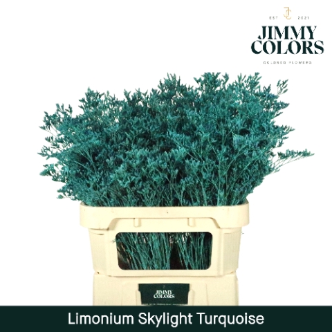 Limonium Skylight L80 Klbh. Turquoise