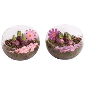 Spring Arr. Hyacint Glass Bowl Vase Ø20cm 3PP