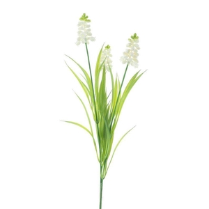 Muscari spray cream 54cm