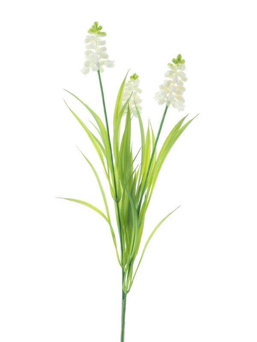 <h4>Muscari spray cream 54cm</h4>