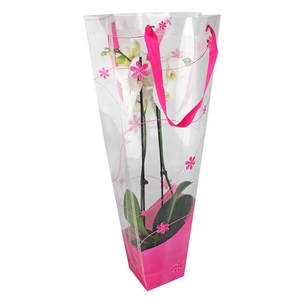 Bag Flow PP 30/12x11xH70cm pink 20/bag