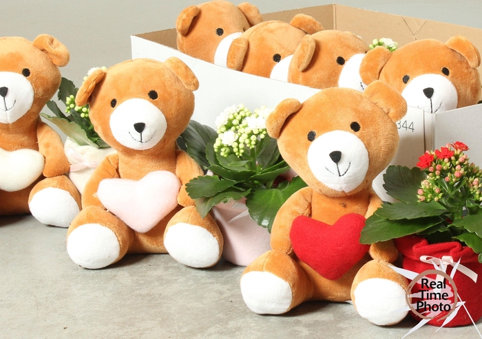 <h4>ARR KAMERPL</h4>