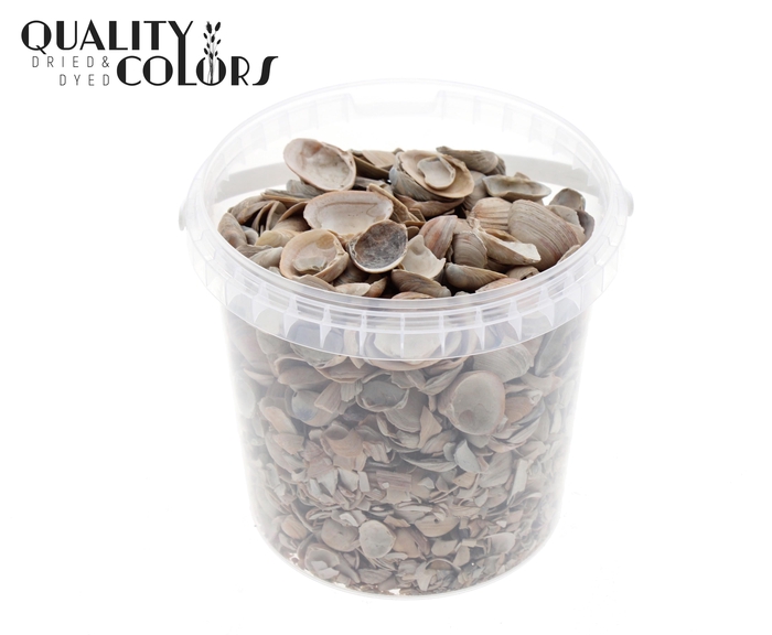 Shells north sea 1 ltr Natural