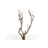 Syringa Branch Extra Beckers