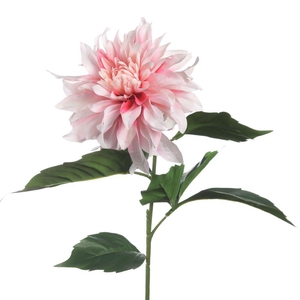 AF Dahlia Spider L84cm L.Pink