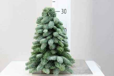 KERSTBOOM 30CM