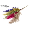 Pampas Grass 100cm 5st/bunch Colourful 2