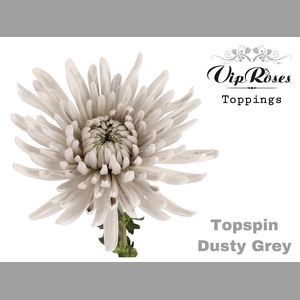 CHR G TOPSPIN DUSTY GREY