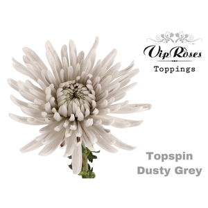 CHR G TOPSPIN DUSTY GREY