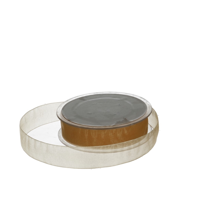 <h4>Ribbon Organza 25mm 50m</h4>