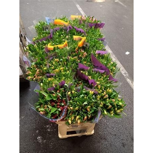 ALSTR GEMENGD IN FUST