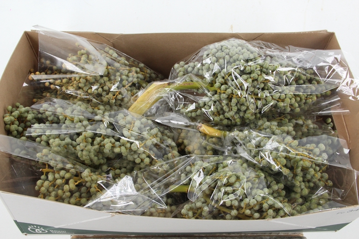 <h4>DADEL TAK 1 KILO</h4>