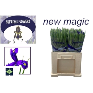 IRIS NEW MAGIC