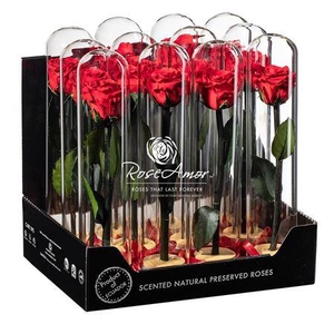 Display Dome Lucca Red02