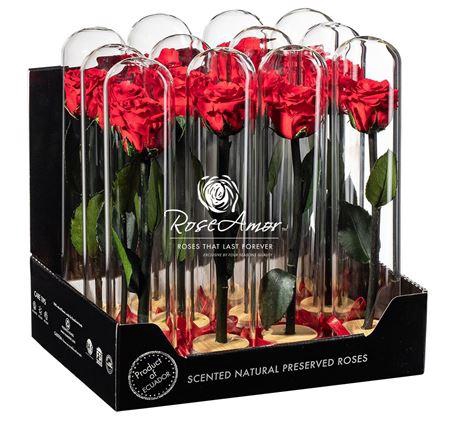<h4>Display Dome Lucca Red02</h4>