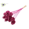 Pine cone 5-7cm on stem Covered Cerise