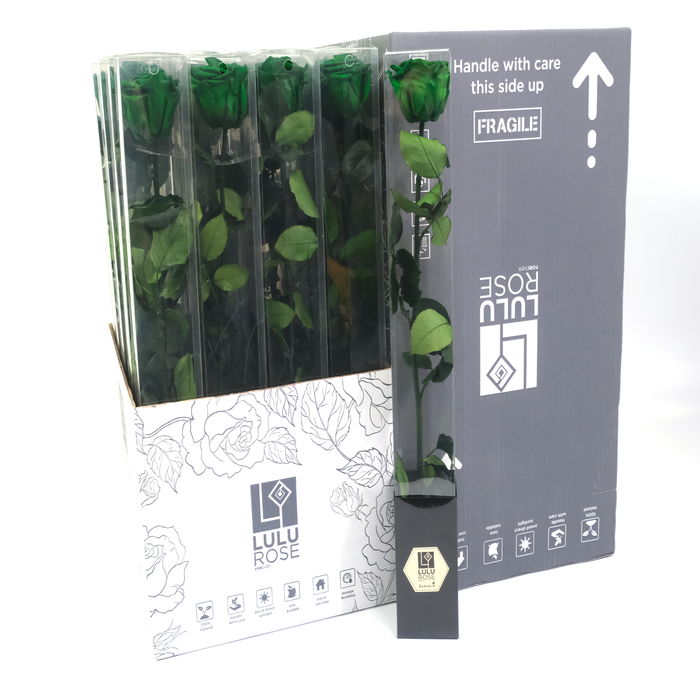 <h4>Rosa Preserved Stem 50cm Exquisite Green</h4>
