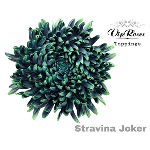 Chr G Stravina Joker