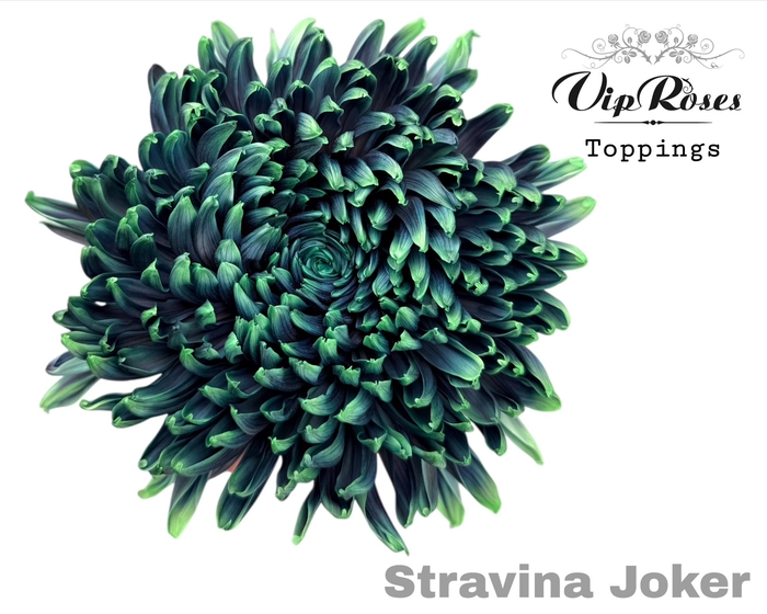 <h4>CHR G STRAVINA JOKER</h4>