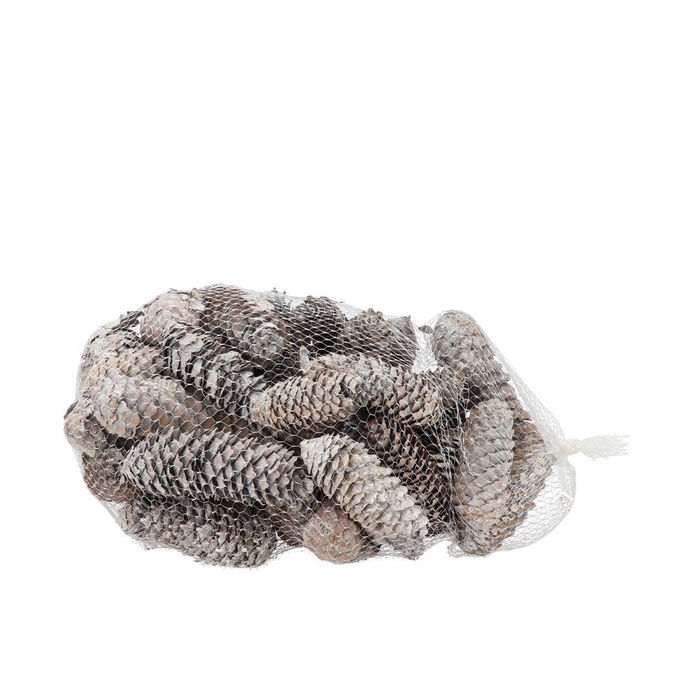 <h4>Nature Spruce Pinecone White P/1kg</h4>