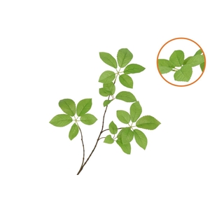 Silk Leaf Elder Green 81cm Nm