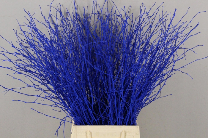 <h4>Betula Bs Paint Blue</h4>